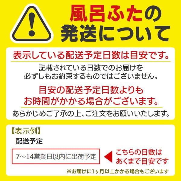 RL91FX04HMEC Panasonic パナソニックFX巻きフタ1616用 HM用 フックなしの画像