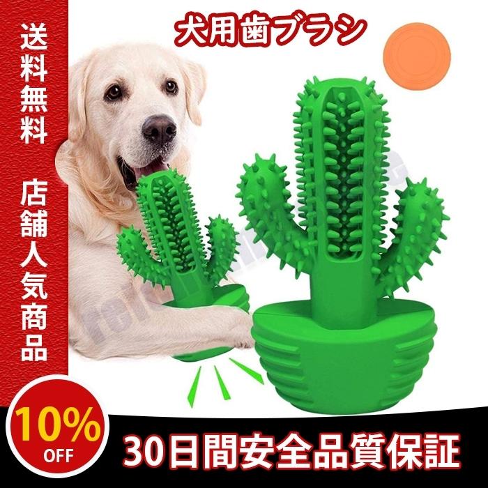 犬噛むおもちゃ 犬のおもちゃ かみ傷のおもちゃ 歯ブラシ 安全 歯のクリーニング ペットおもちゃ 訓練おもちゃ ペットおもちゃ 歯を清潔 大型犬 中型犬 Dogtoy1 Reichtum2store 通販 Yahoo ショッピング