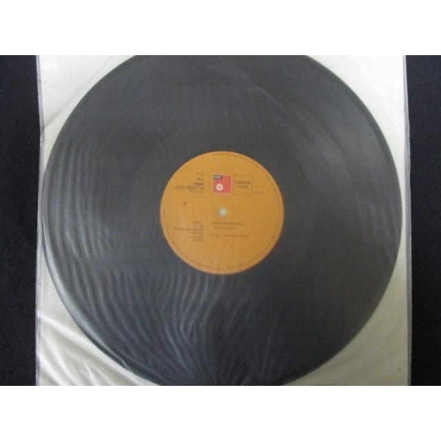 plums / Hokuto LPレコード hokuto plums LP