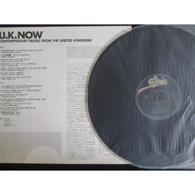 LP/レコード 0126□チャカカーン ファットボーイズ ビースティ