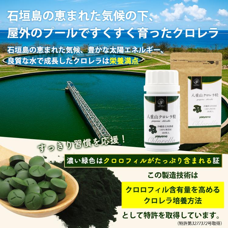 クロレラ 八重山クロレラ サプリ 300粒 20袋セット 八重山 1ヶ月分