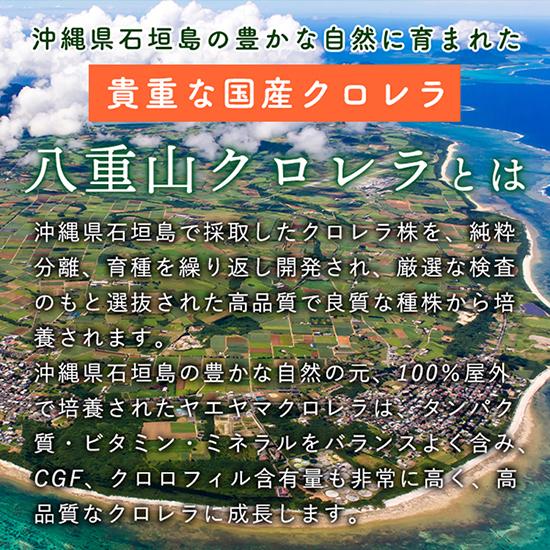 クロレラ 八重山クロレラ サプリ 300粒 20袋セット 八重山 1ヶ月分 パウチ 無添加 添加物不使用 石垣島産 国産 八重山殖産 小球藻 クロロフィル 腸活 栄養 |  | 07