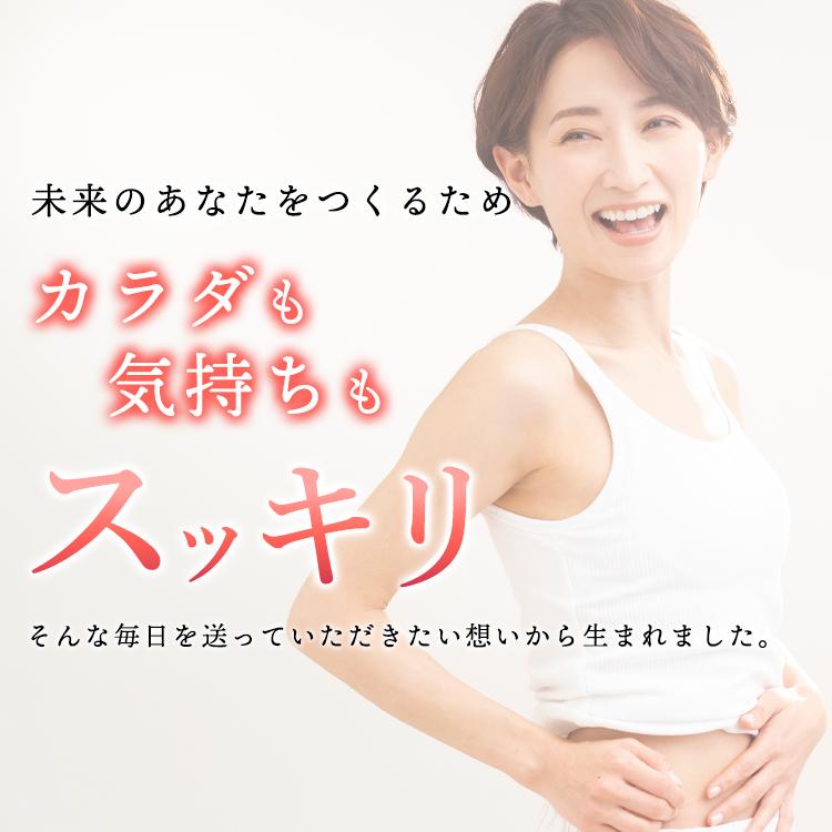 クロレラ 八重山クロレラ サプリ 300粒 6袋セット 八重山 1ヶ月分 パウチ 無添加 添加物不使用 石垣島産 国産 八重山殖産 小球藻 クロロフィル 腸活 沖縄県 栄養 |  | 14