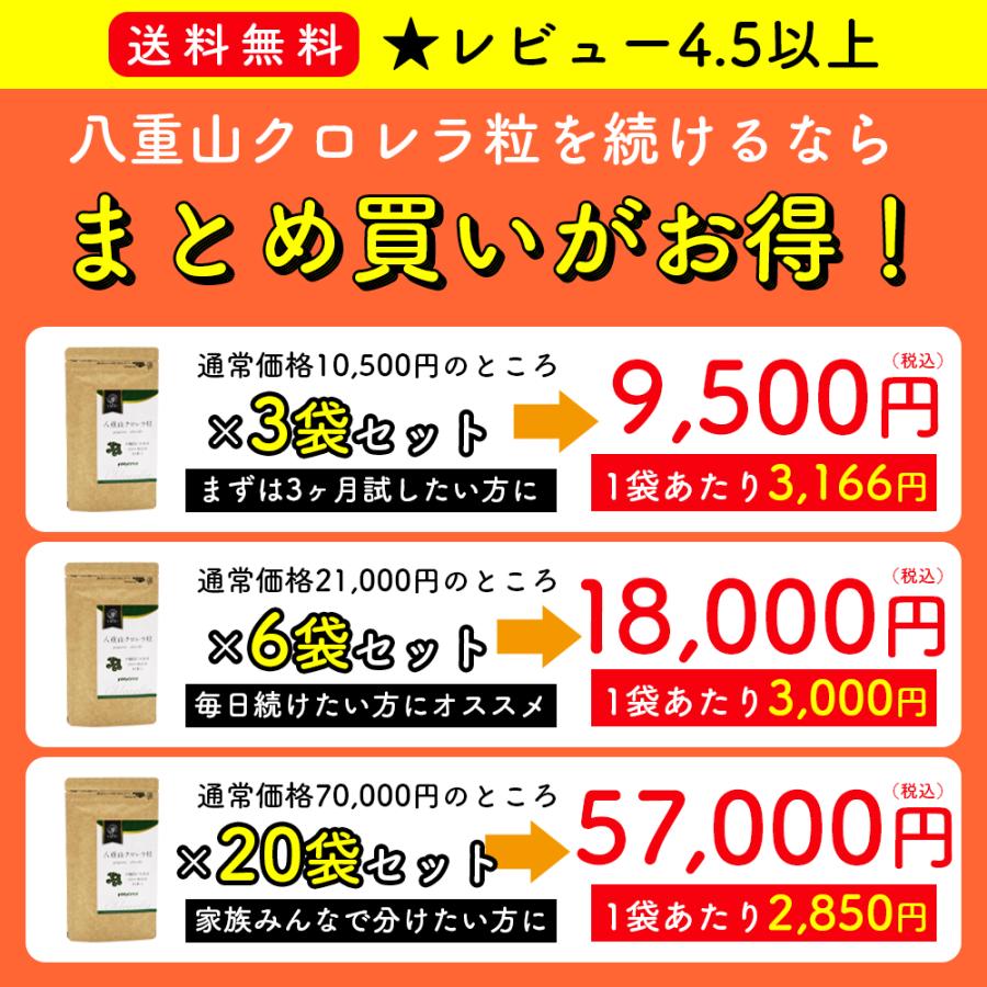 クロレラ 八重山クロレラ サプリ 300粒 6袋セット 八重山 1ヶ月分 パウチ 無添加 添加物不使用 石垣島産 国産 八重山殖産 小球藻 クロロフィル 腸活 沖縄県 栄養 |  | 01
