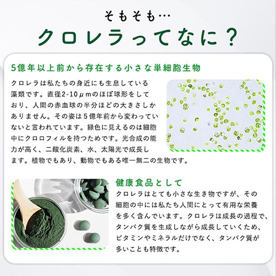 クロレラ 八重山クロレラ サプリ 300粒 6袋セット 八重山 1ヶ月分 パウチ 無添加 添加物不使用 石垣島産 国産 八重山殖産 小球藻 クロロフィル 腸活 沖縄県 栄養 |  | 05