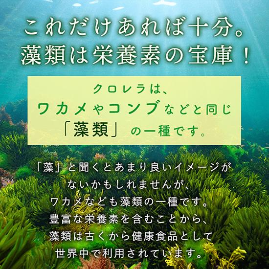 クロレラ 八重山クロレラ サプリ 300粒 6袋セット 八重山 1ヶ月分 パウチ 無添加 添加物不使用 石垣島産 国産 八重山殖産 小球藻 クロロフィル 腸活 沖縄県 栄養 |  | 06