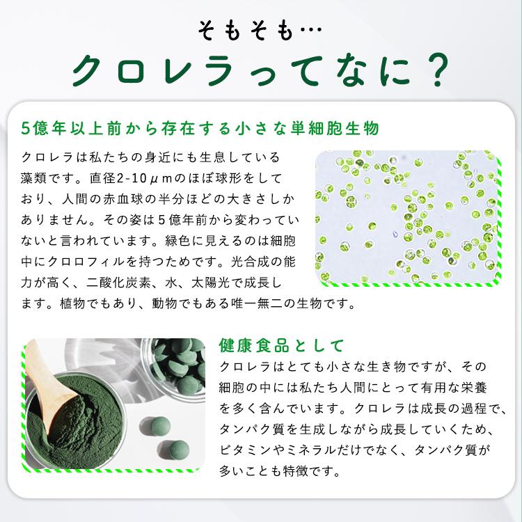 クロレラ 八重山クロレラ サプリ 300粒 ボトルタイプ 20本セット 20ヶ月分 パウチ 無添加 添加物不使用 石垣島産 国産 八重山殖産 クロロフィル 腸活 沖縄県 |  | 04