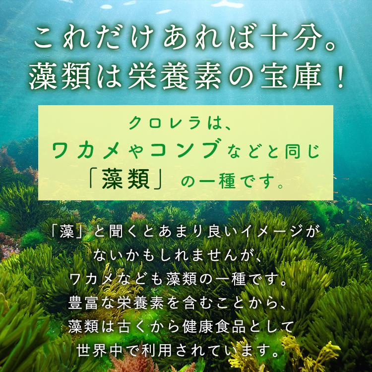 クロレラ 八重山クロレラ サプリ 300粒 ボトルタイプ 20本セット 20ヶ月分 パウチ 無添加 添加物不使用 石垣島産 国産 八重山殖産 クロロフィル 腸活 沖縄県 |  | 05