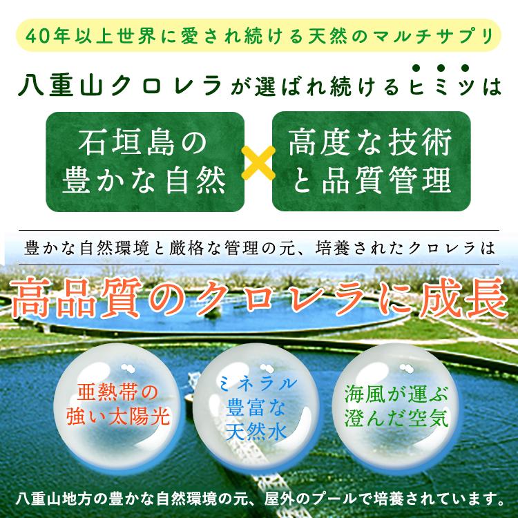 クロレラ 八重山クロレラ サプリ 300粒 ボトルタイプ 20本セット 20ヶ月分 パウチ 無添加 添加物不使用 石垣島産 国産 八重山殖産 クロロフィル 腸活 沖縄県 |  | 07