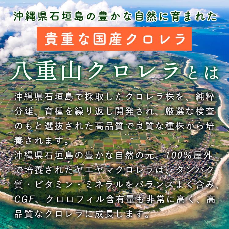 クロレラ 八重山クロレラ サプリ 300粒 ボトルタイプ 6本セット 6ヶ月分 パウチ 無添加 添加物不使用 石垣島産 国産 八重山殖産 クロロフィル 腸活 沖縄県 |  | 06