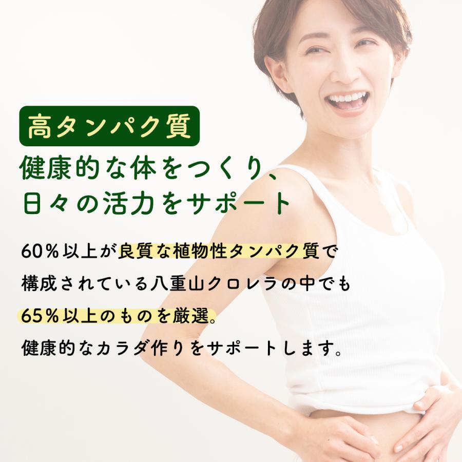 クロレラ 粉末 八重山クロレラプレミアムパウダー 60g ヤエヤマクロレラ 無添加 八重山殖産 小球藻 オーガニック 国産 クロロフィル 沖縄 石垣島 健康 食物繊維 |  | 02
