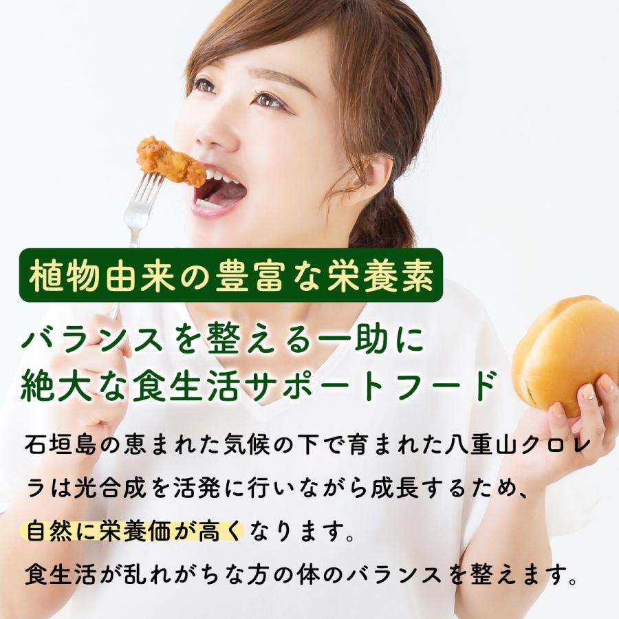 クロレラ 粉末 八重山クロレラプレミアムパウダー 60g ヤエヤマクロレラ 無添加 八重山殖産 小球藻 オーガニック 国産 クロロフィル 沖縄 石垣島 健康 食物繊維 |  | 04