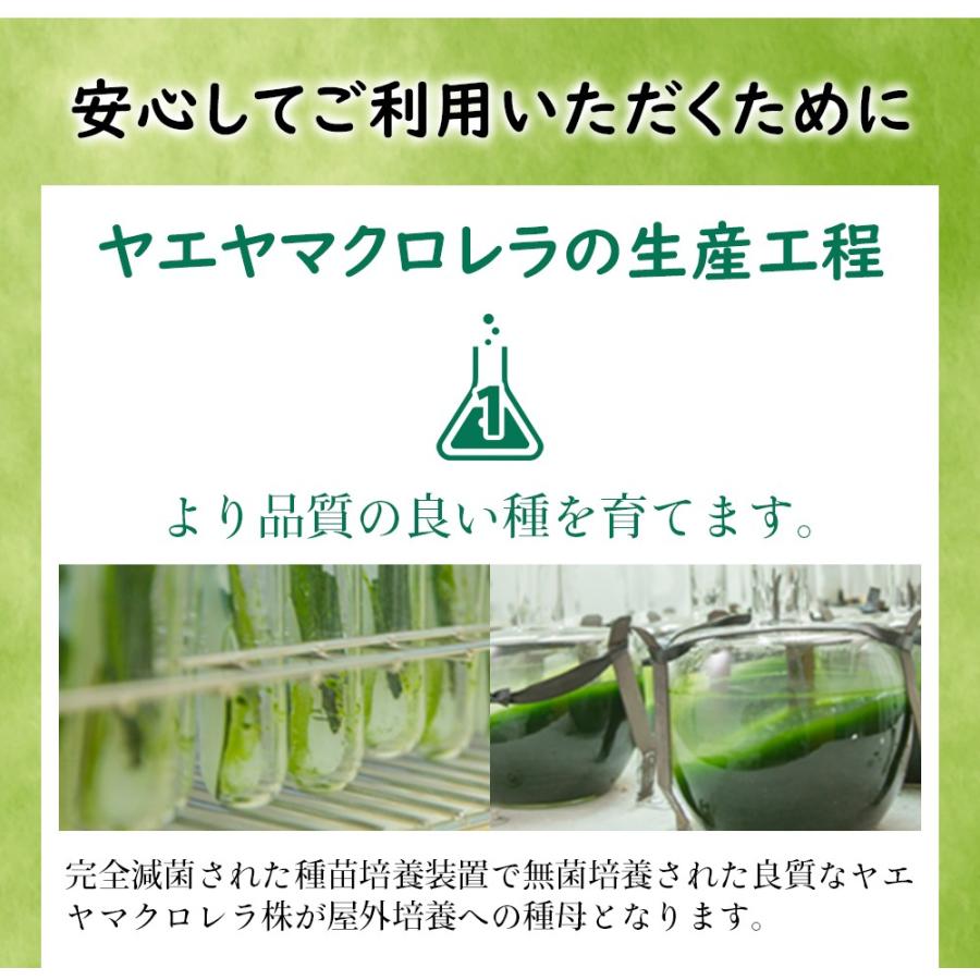 クロレラ 八重山クロレラ ヤエヤマクロレラ 国産 300粒 1ヵ月分 送料無料 サプリメント サプリ 栄養 Chlorella 麗幸 通販 Yahoo ショッピング