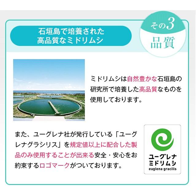 ユーグレナ みどりむし ミドリムシ マルチユーグレナＷ[60粒×1袋]【送料無料】サプリメント |  | 07