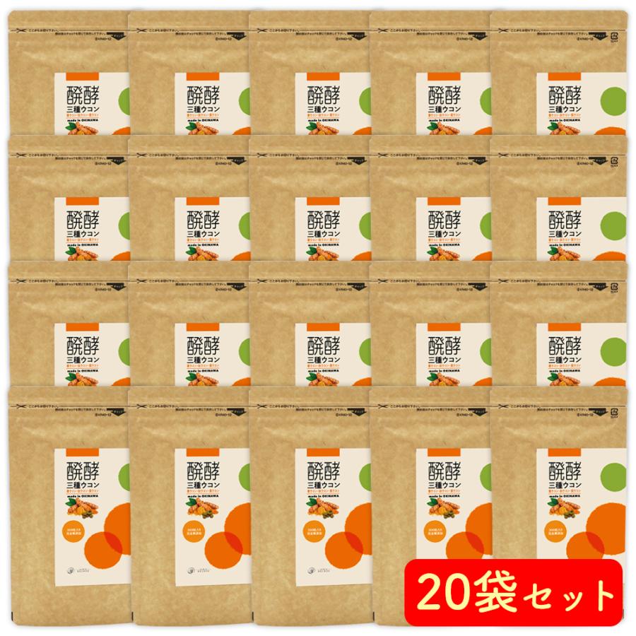 ウコン サプリ 錠剤 発酵ウコン 醗酵三種ウコン 20袋セット(20ヶ月分