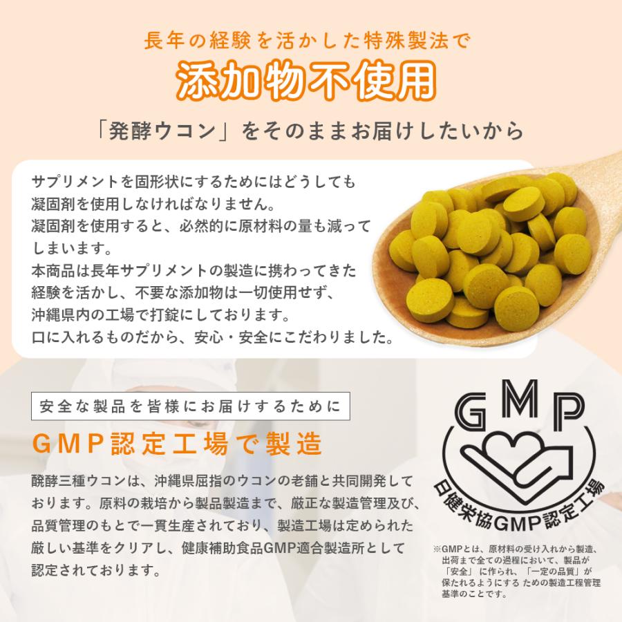 ウコン サプリ 錠剤 発酵ウコン 醗酵三種ウコン 20袋セット(20ヶ月分