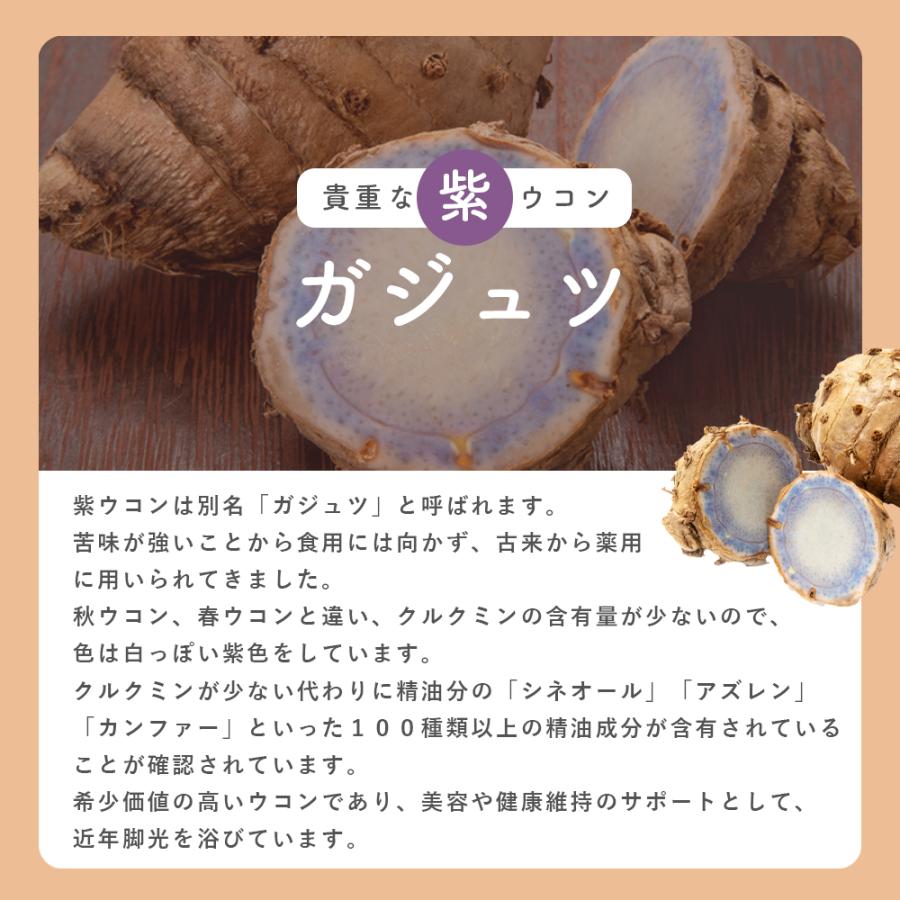 ウコン サプリ 錠剤 発酵ウコン 醗酵三種ウコン 3袋セット(3ヶ月分) 無