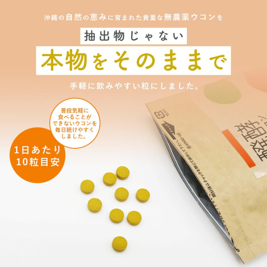 ウコン サプリ 錠剤 発酵ウコン 醗酵三種ウコン 3袋セット(3ヶ月分) 無