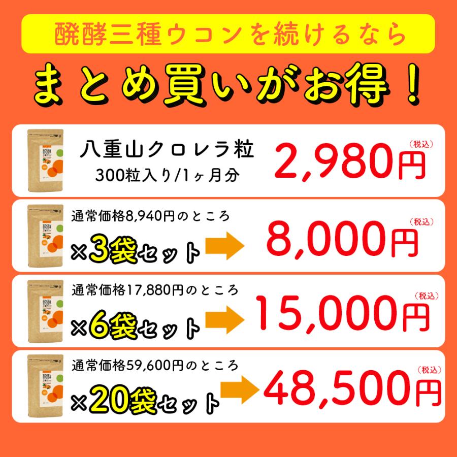 ウコン サプリ 錠剤 発酵ウコン 醗酵三種ウコン 3袋セット(3ヶ月分) 無