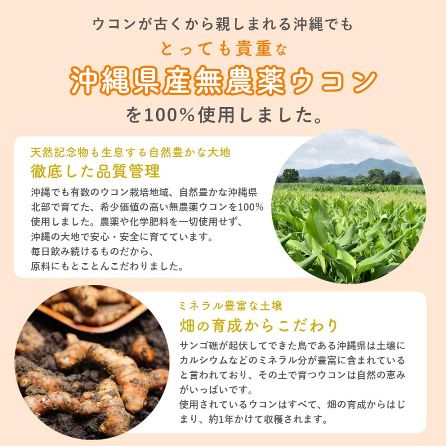 ウコン サプリ 錠剤 発酵ウコン 醗酵三種ウコン 6袋セット(6ヶ月分) 無 