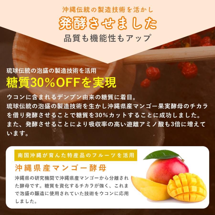 ウコン サプリ 錠剤 発酵ウコン 醗酵三種ウコン 6袋セット(6ヶ月分) 無 
