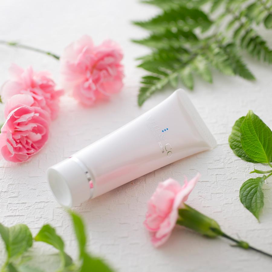 VEIL＆Co（ベールアンドコー） 【VEIL&Co】ベールアンドコー 毛穴専用