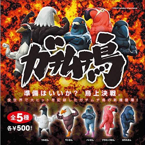 ガチムチ鳥3 全5種セット フルコンプ コミック アニメ Www Prosercofam Com