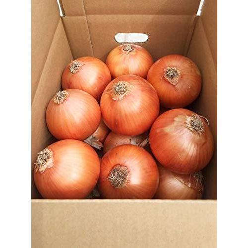 淡路島産 追熟甘玉ねぎ 3 国産 M