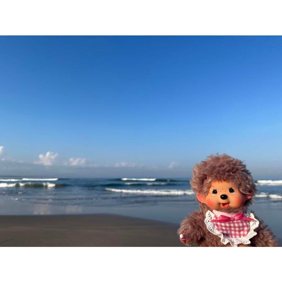 もこもこスウィートブラウン モンチッチ ピンク : REINA-KITCHEN