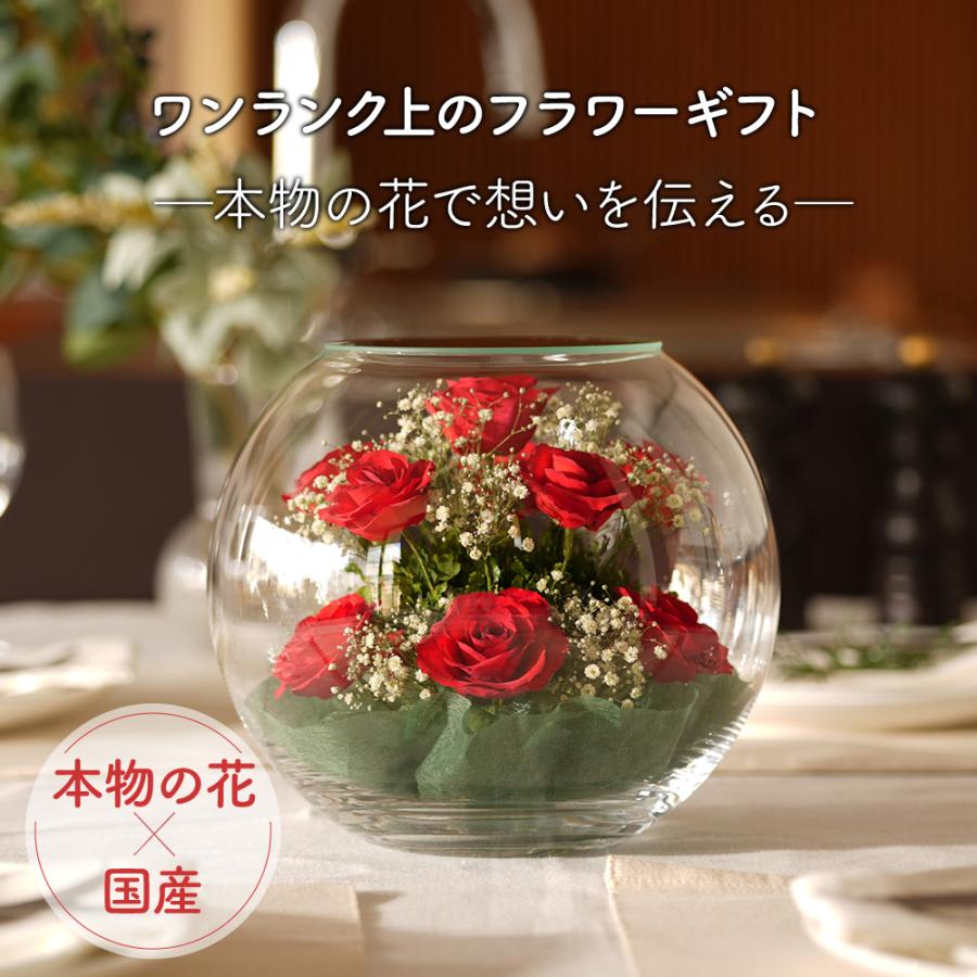 ドライフラワーボウル レンデフロール ギフト 花 レトロ インテリア