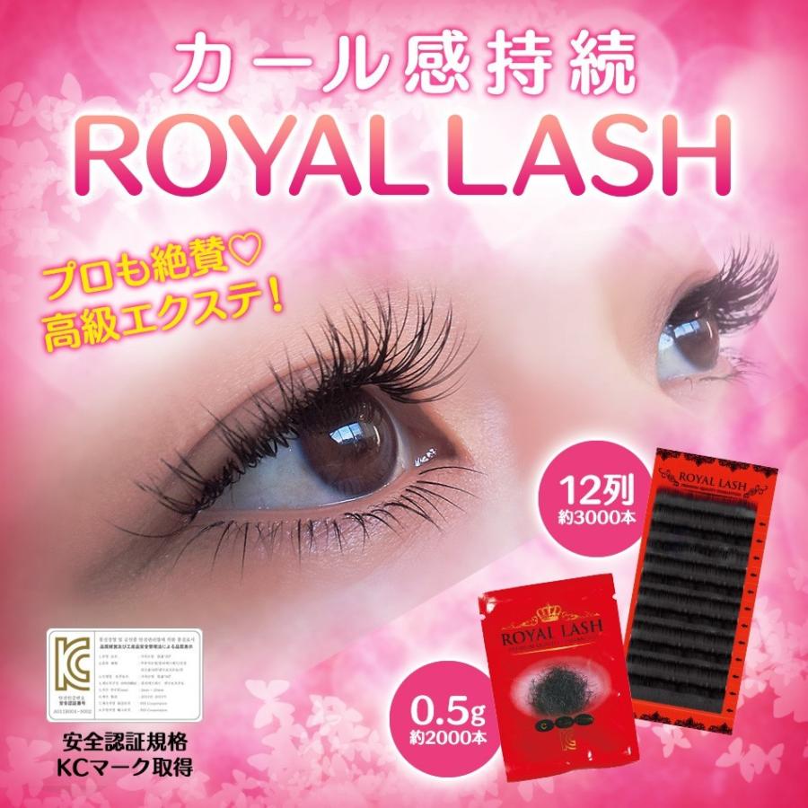 まつげエクステ Royal Lash 12列 Cカール 約3 000本入 メール便可 Smilesquadhouston