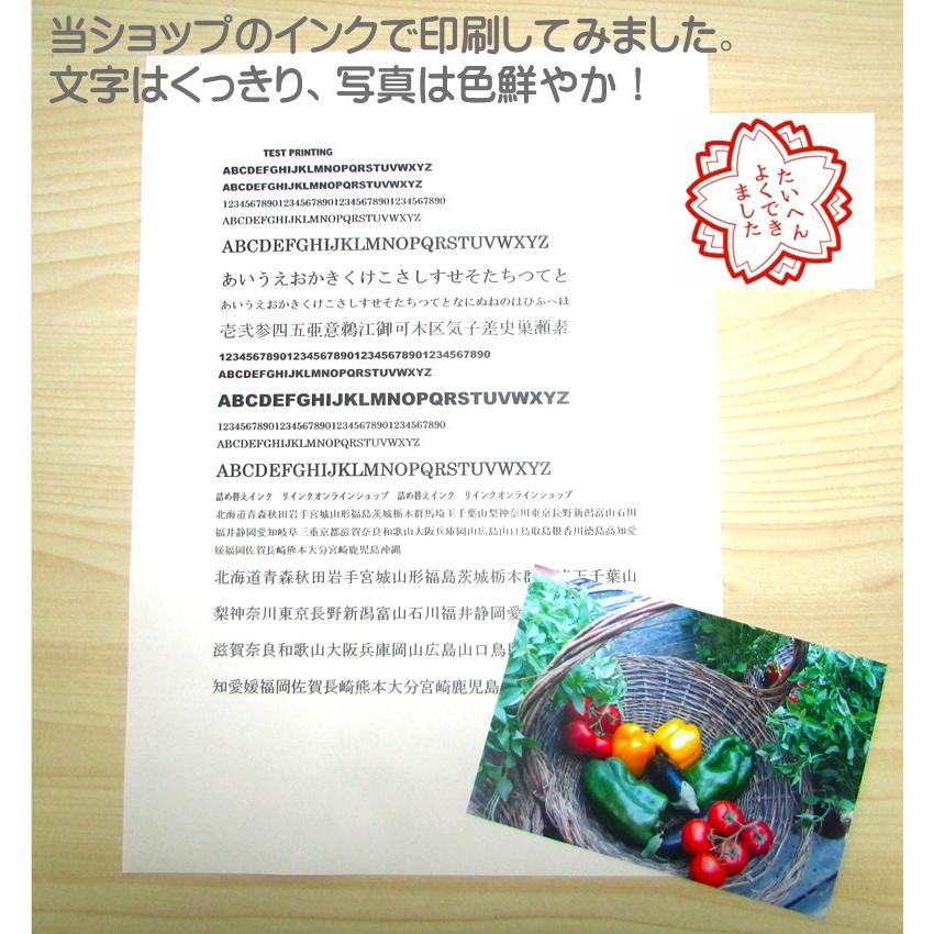キャノン プリンター インク XKI-N20 / N21 XK500 用 詰め替えインク