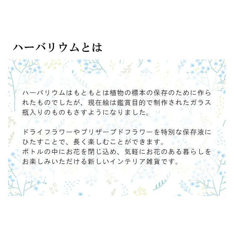 ハーバリウム メッセージ入り Herbarium おしゃれ ギフト 誕生日 プレゼント 女性 母 女友達 結婚祝い 出産祝い 退職 贈り物 Herbarium Message Aoyama花苑webshopレイリヤフー店 通販 Yahoo ショッピング