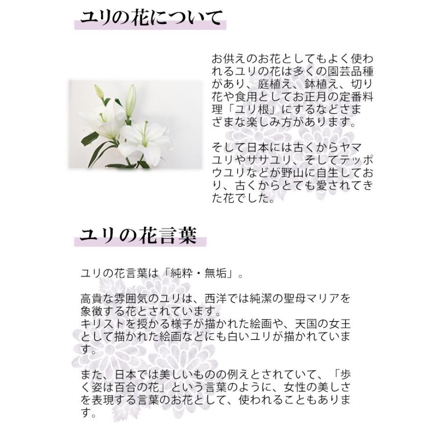 お供え お悔やみ お彼岸 花 贈り物 一周忌 命日 法事 お供え花 大輪の白ユリの洋風お供え生花アレンジメント Rra 00 021 Aoyama花苑webshopレイリヤフー店 通販 Yahoo ショッピング