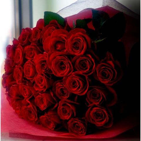 バラの花束 100本もok 本数が選べます 高品質で超大輪の深紅の薔薇の花束 赤バラ 大輪品種 Rrb 350 001r Aoyama花苑webshopレイリヤフー店 通販 Yahoo ショッピング