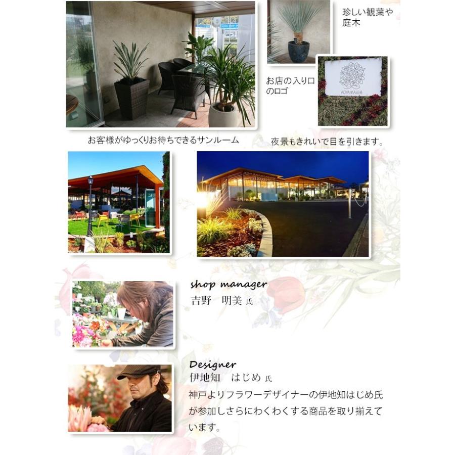 21秋冬新作 花束 ボリューム30 Up デザイナーおまかせフラワーブーケ 花 誕生日 プレゼント 女性 母 祖母 送別会 退職祝い 結婚 お祝い Heartlandgolfpark Com