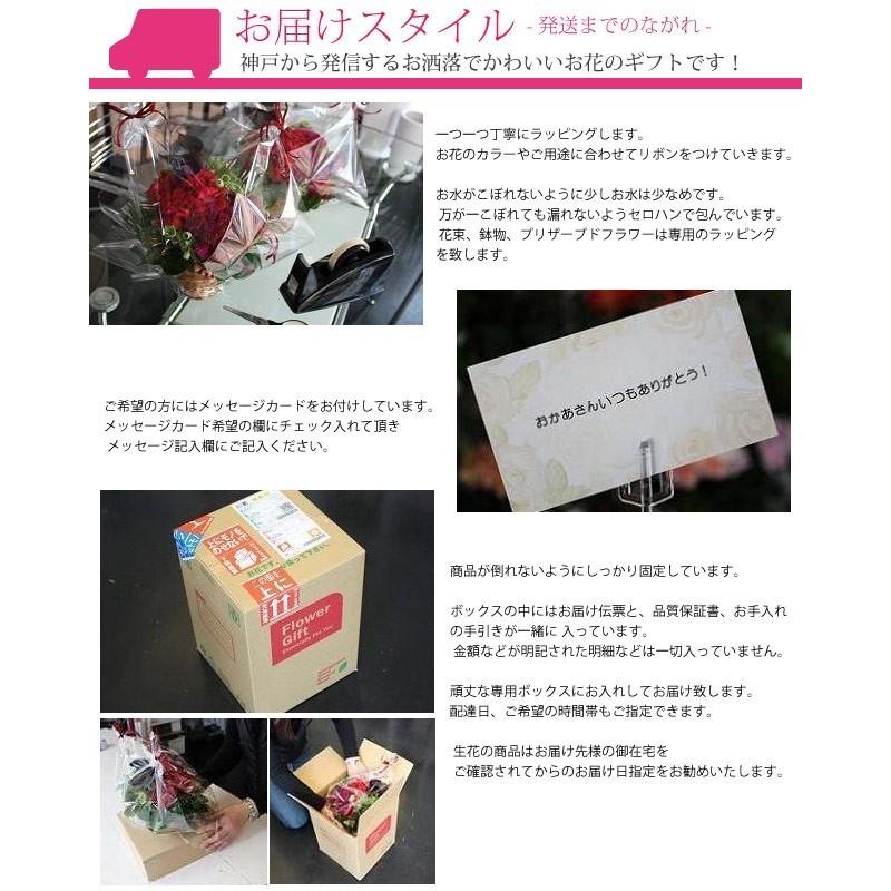フラワーアレンジメント 薔薇 ローズマリー 天使の贈り物 フラワーアレンジメント 薔薇 ローズマリー 天使の贈り物