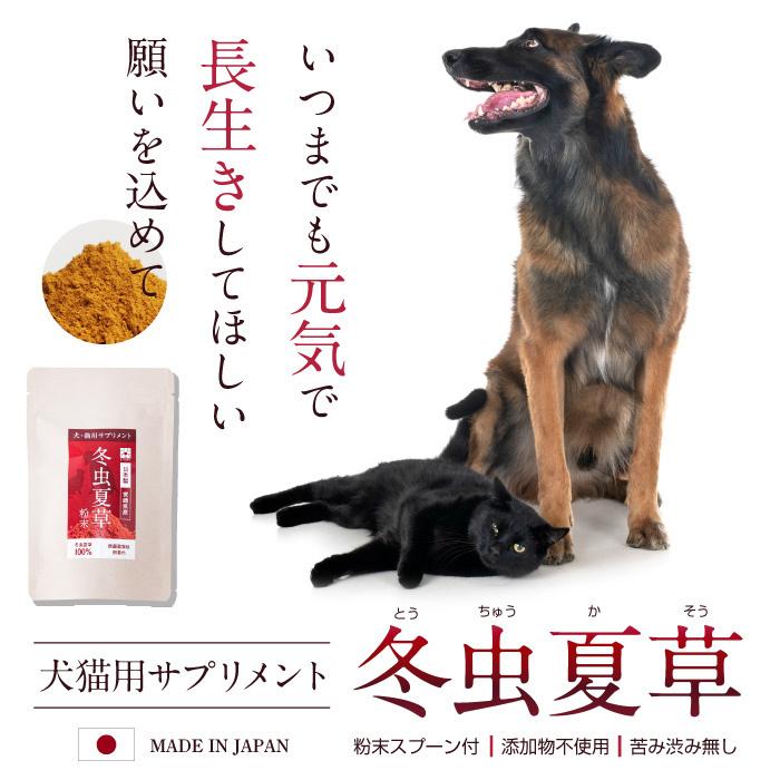 犬 猫 ペット 免疫 サプリメント 冬虫夏草 コルジセピン 粉末 健康食品 30g｜reishisoap｜02