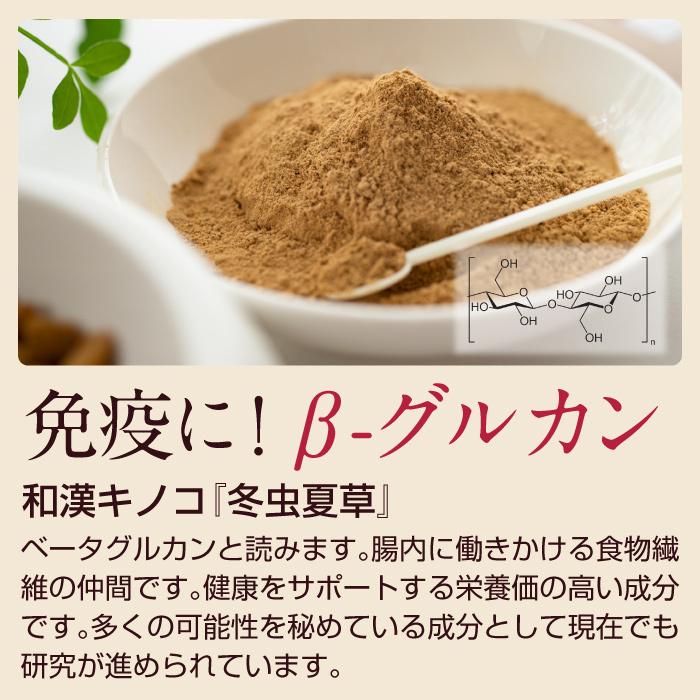 犬 猫 ペット 免疫 サプリメント 冬虫夏草 コルジセピン 粉末 健康食品 30g｜reishisoap｜11