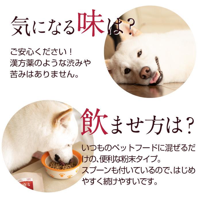 犬 猫 ペット 免疫 サプリメント 冬虫夏草 コルジセピン 粉末 健康食品 30g｜reishisoap｜16