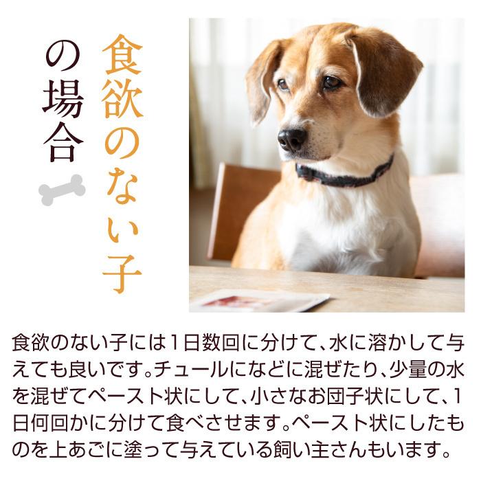 犬 猫 ペット 免疫 サプリメント 冬虫夏草 コルジセピン 粉末 健康食品 30g｜reishisoap｜18