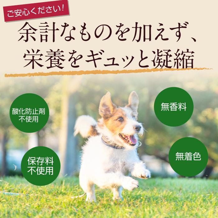 犬 猫 ペット 免疫 サプリメント 冬虫夏草 コルジセピン 粉末 健康食品 30g｜reishisoap｜19