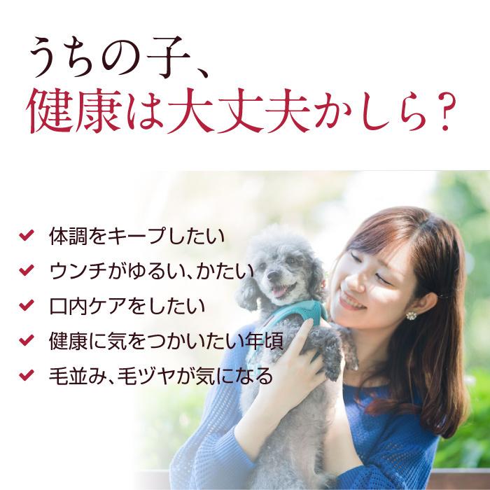 犬 猫 ペット 免疫 サプリメント 冬虫夏草 コルジセピン 粉末 健康食品 30g｜reishisoap｜03