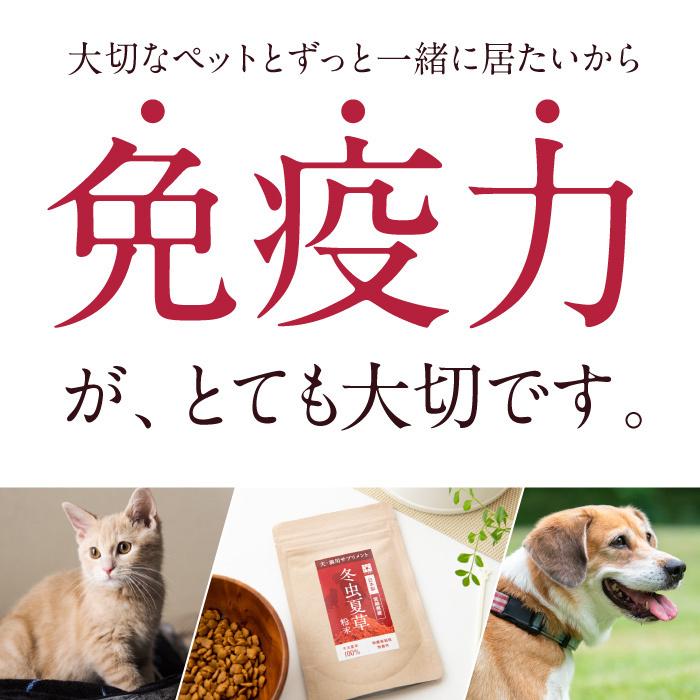 犬 猫 ペット 免疫 サプリメント 冬虫夏草 コルジセピン 粉末 健康食品 30g｜reishisoap｜06