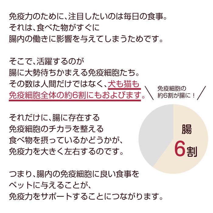 犬 猫 ペット 免疫 サプリメント 冬虫夏草 コルジセピン 粉末 健康食品 30g｜reishisoap｜07