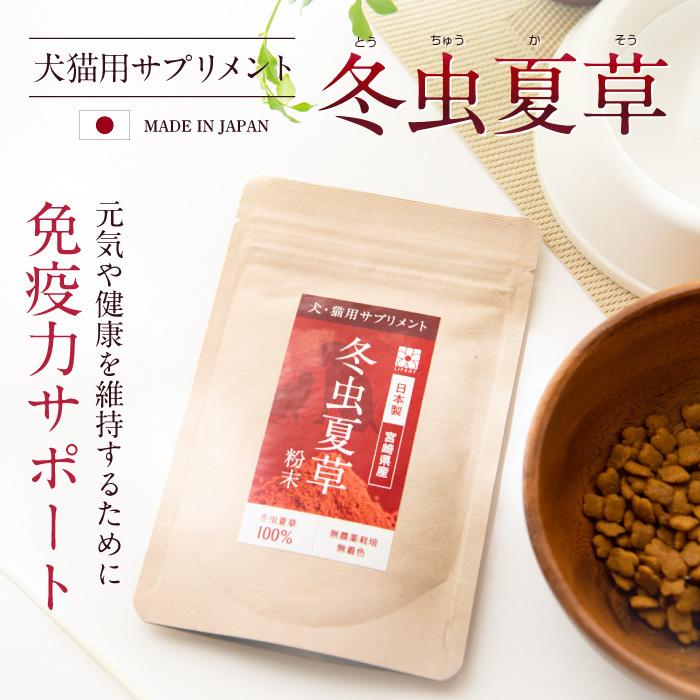 犬 猫 ペット 免疫 サプリメント 冬虫夏草 コルジセピン 粉末 健康食品 30g｜reishisoap｜08