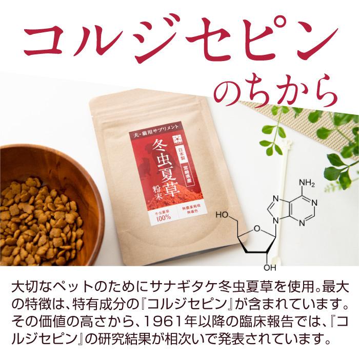 犬 猫 ペット 免疫 サプリメント 冬虫夏草 コルジセピン 粉末 健康食品 30g｜reishisoap｜10