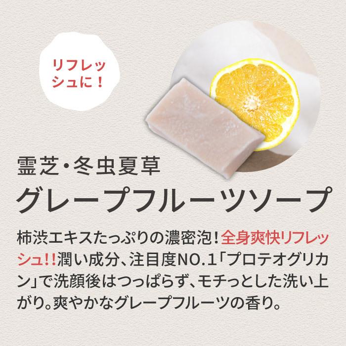 洗顔 洗顔石鹸 せっけん スキンケアトライアルセット お試し 霊芝 冬虫夏草 ソープ セット コスメ｜reishisoap｜16