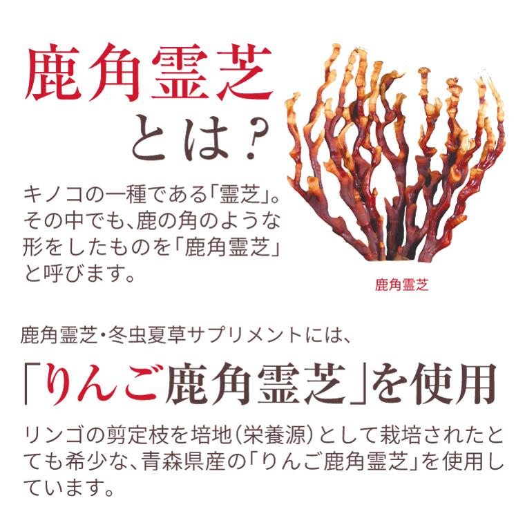 ENGRACE 霊芝 サプリ サプリメント 鹿角霊芝 冬虫夏草 お得 10本セット