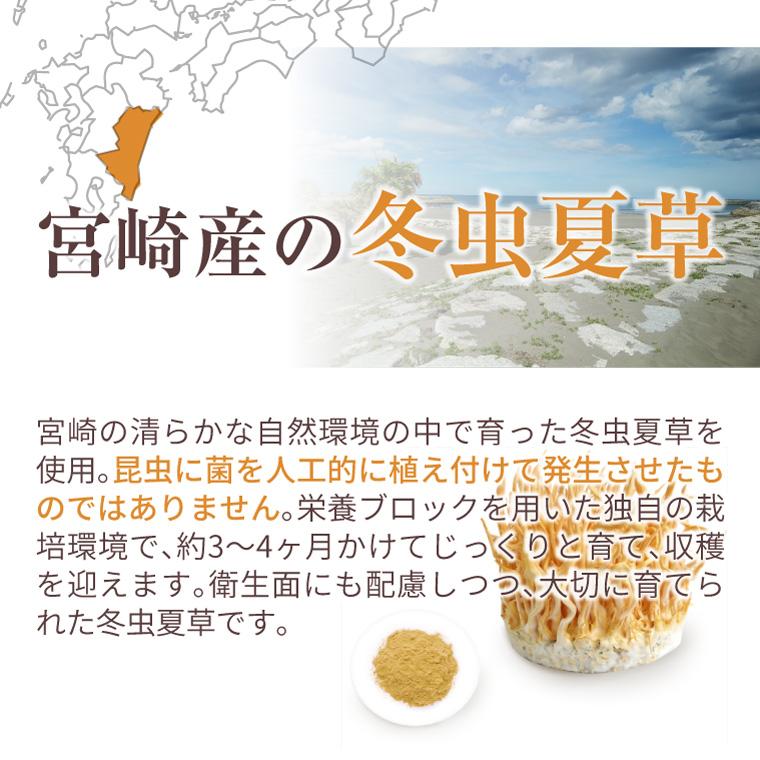 ENGRACE 霊芝 サプリ サプリメント 鹿角霊芝 冬虫夏草 お得 10本セット